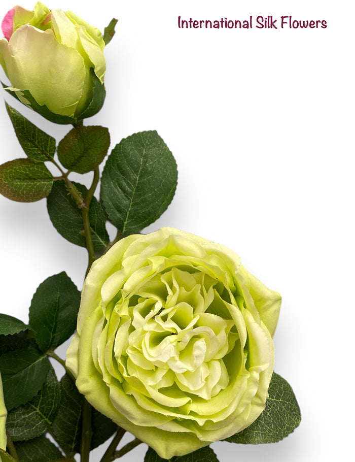 30"  Silk Austin Rose Spray ( 80330-Green )