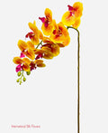 37'' Natural Touch Orchid ( INT053-#3 Yellow )
