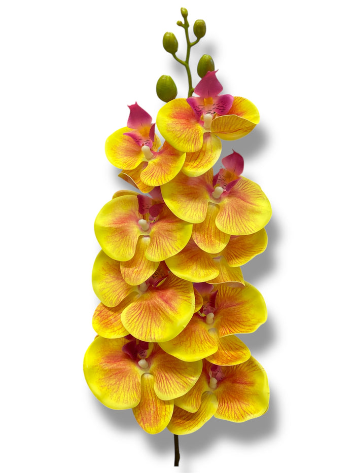 37'' Natural Touch Orchid ( INT053-#3 Yellow )