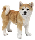 Akita Walking - Dog Statue HI-LINE GIFT LTD.