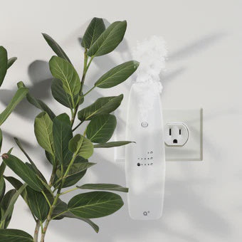 White wall socket with a white remote control next to green leaves on a light gray background