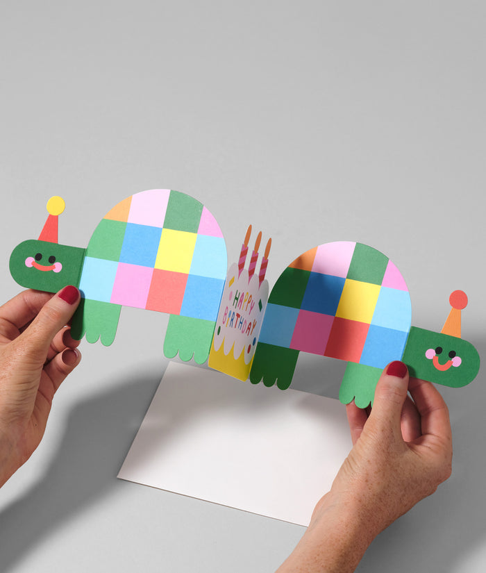 Birthday Tortoises Kids Fold Out Birthday Card