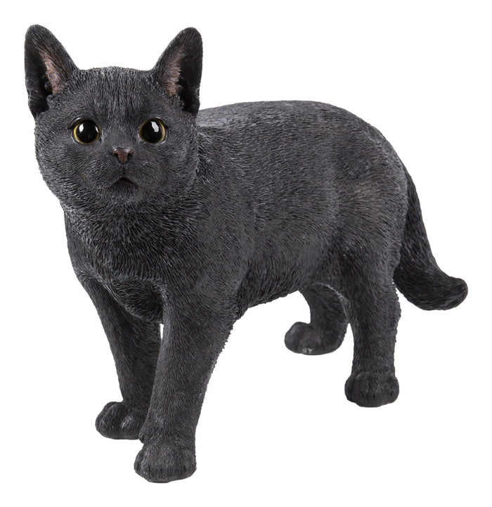 Black Cat Walking Looking Left Statue HI-LINE GIFT LTD.