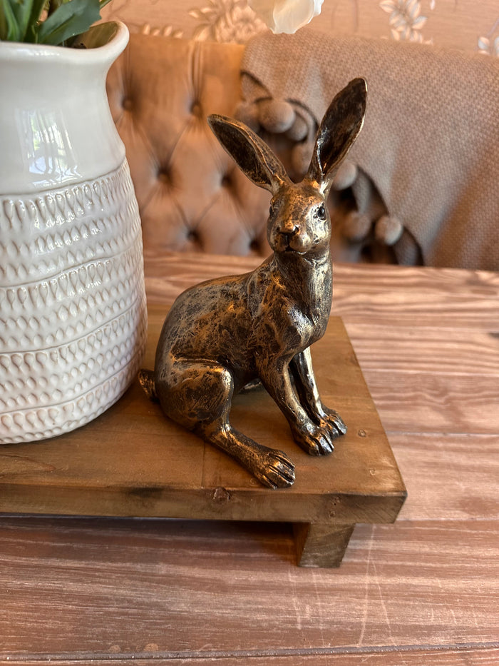 Bronzed Sitting Hare