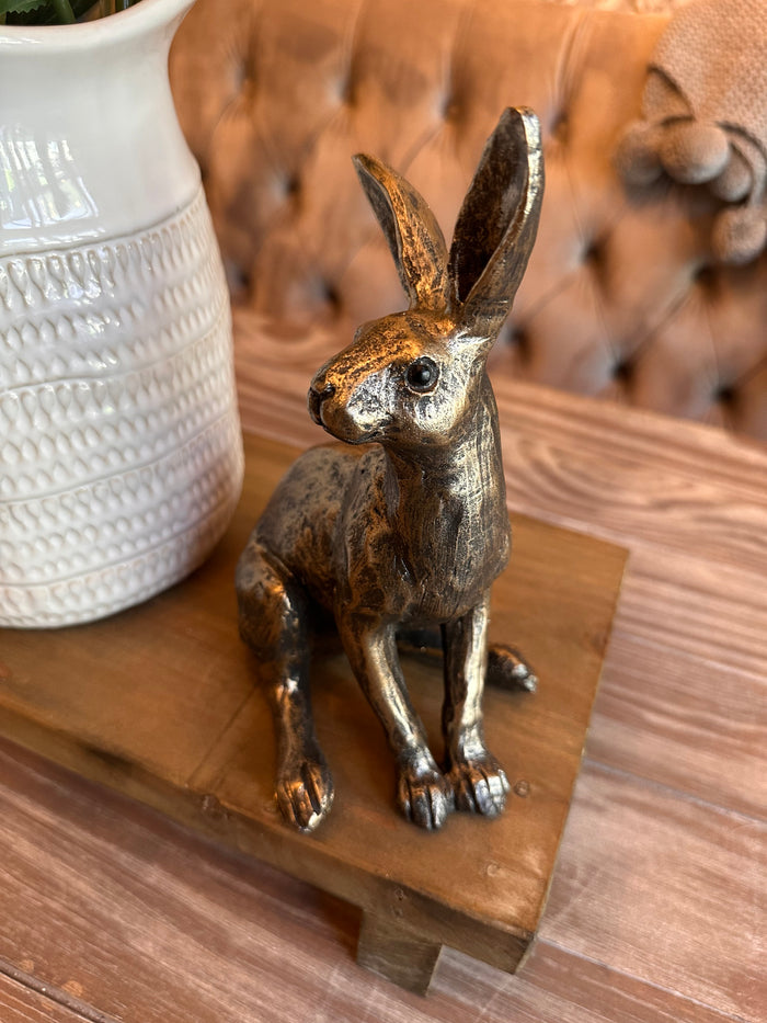 Bronzed Sitting Hare