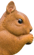 Brown Squirrel Eating Statue HI-LINE GIFT LTD.