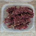 Burgundy Amaranth for Cake Decorating