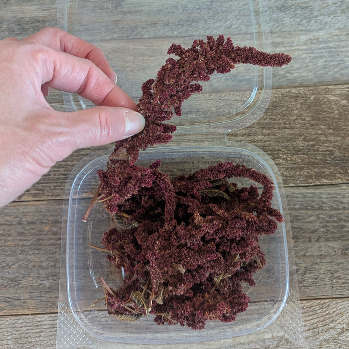 Burgundy Amaranth for Cake Decorating