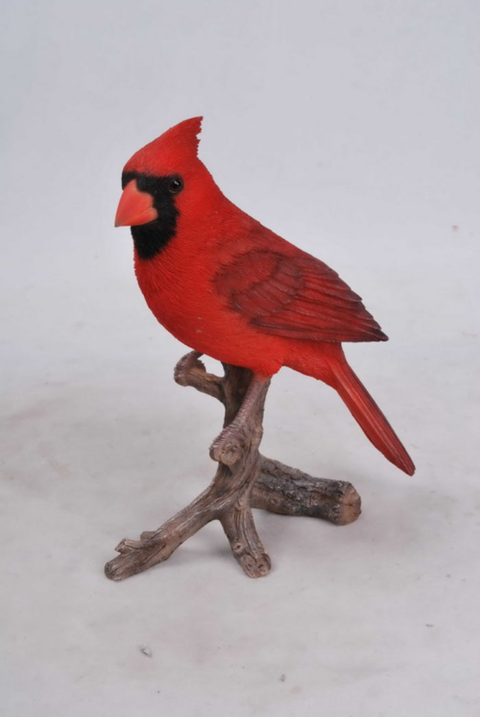 Cardinal On Branch Hi-Line Gift Ltd.