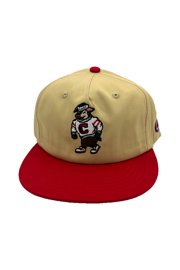[ carolina hurricanes ] stormy - Official League