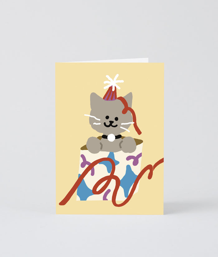Cat In A Present