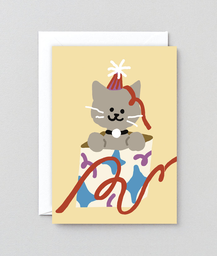 Cat In A Present