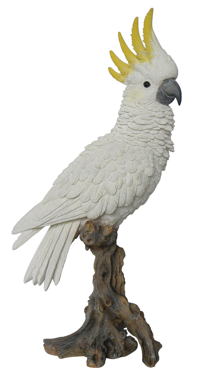 Cockatoo on Branch Statue HI-LINE GIFT LTD.