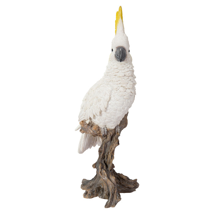 Cockatoo on Branch Statue HI-LINE GIFT LTD.