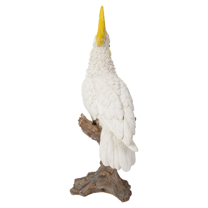 Cockatoo on Branch Statue HI-LINE GIFT LTD.