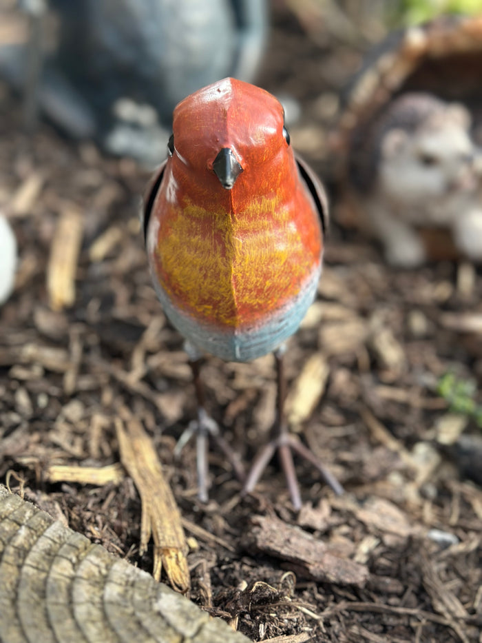 Colourful Garden Metal Robin