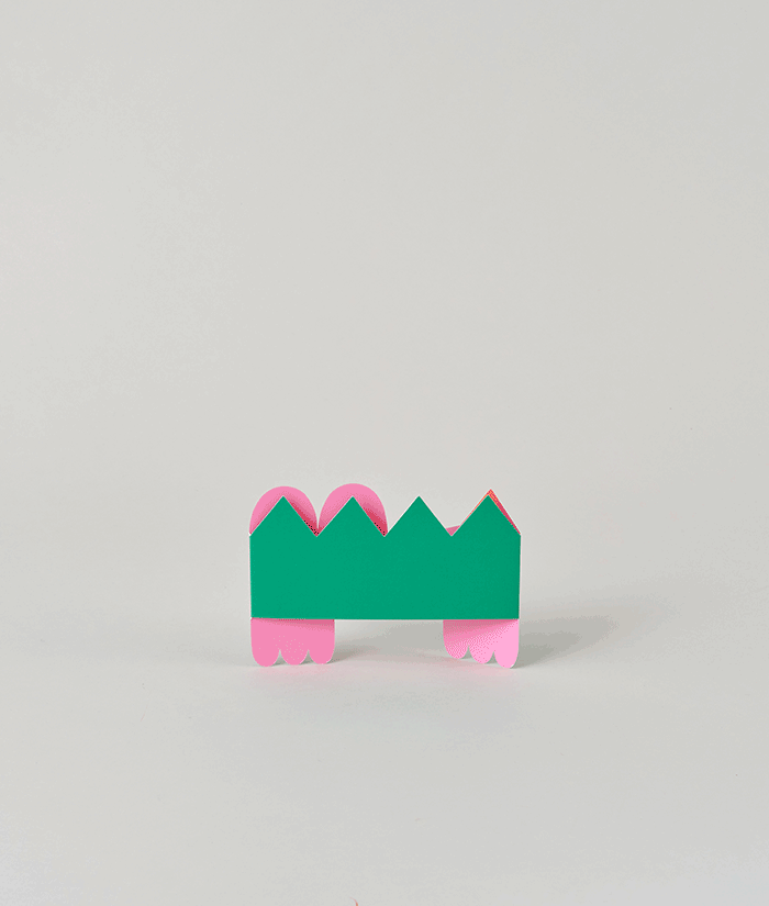 Croc Fold Out Card
