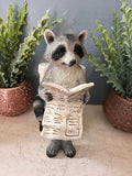 Decorative Racoon on a Loo