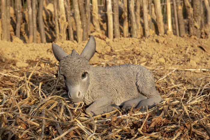 Donkey Foal Lying Down Statue HI-LINE GIFT LTD.