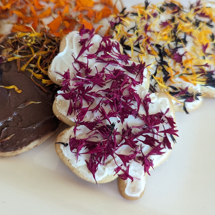Edible Flower Petal Confetti - Sunset Kit