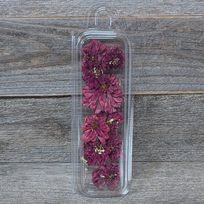 Edible Zinnias for Cake Decorating, Burgundy Purple