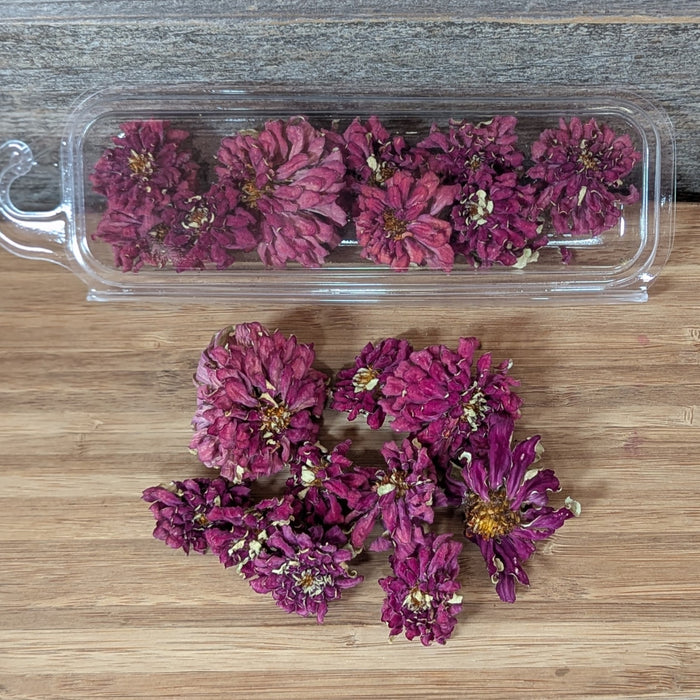 Edible Zinnias for Cake Decorating, Burgundy Purple