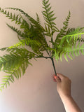Faux Hay Fern