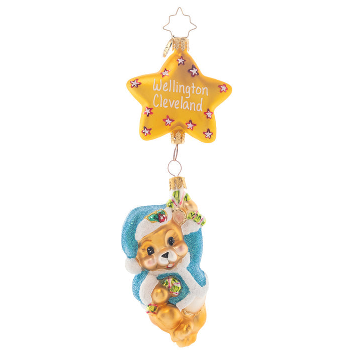 Ornament Description - First Things First Boy: This Santa bear welcomes your newest bundle of joy to the wonders of the Christmas season. Add the newest addition to your family on the star to make this a truly wonderful heirloom. Note: Please allow approximately one month (on top of shipping time) for our elves to personalize your ornament.