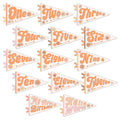 Flower Child Petit Milestone Pennant