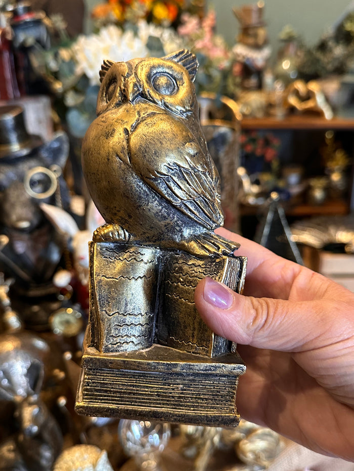 Gold Decorative Owl Stood on Books
