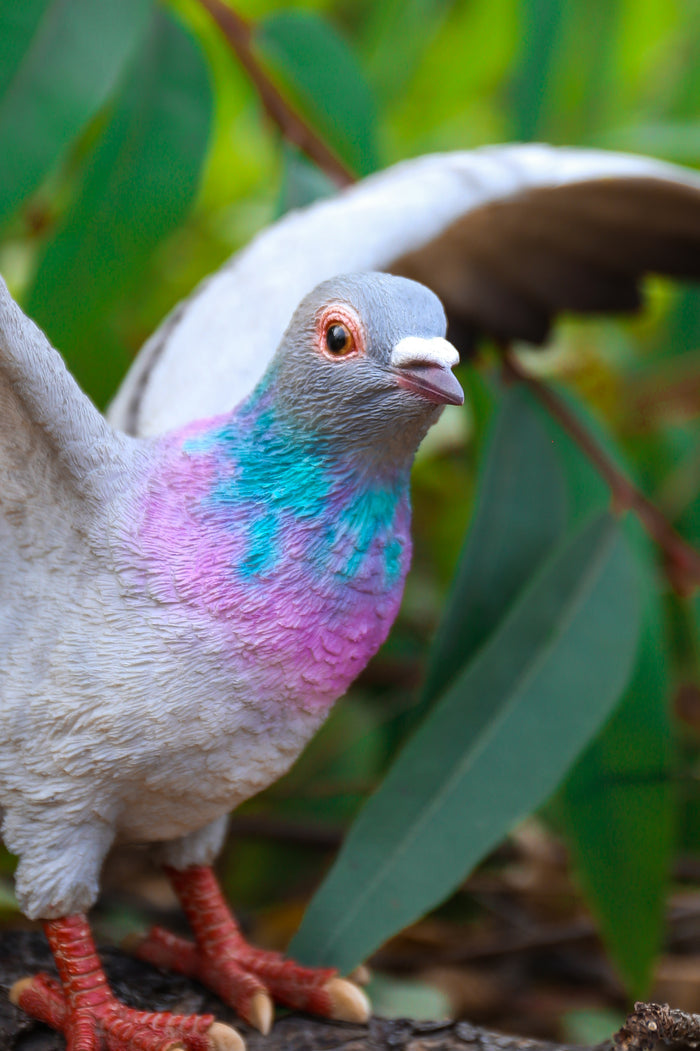 Pigeon With Spread Wings Statue HI-LINE GIFT LTD.