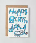 Happy Birthday Cat & Present