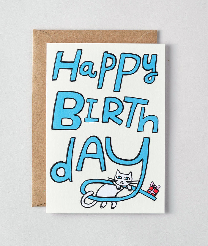 Happy Birthday Cat & Present