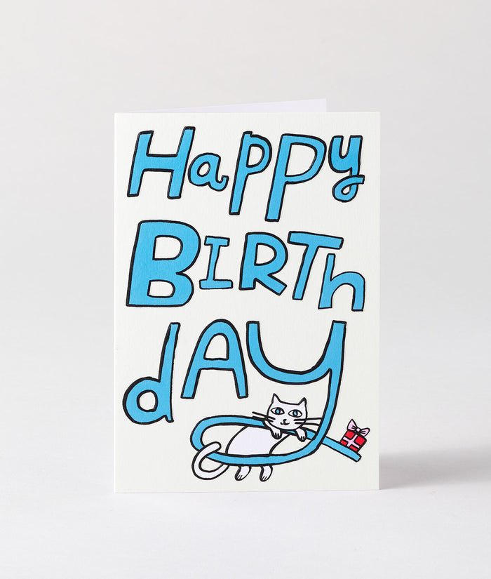 Happy Birthday Cat & Present