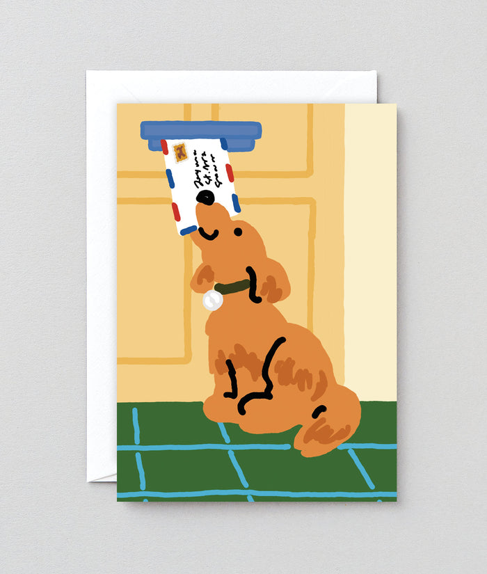 Happy Birthday Dog Mail