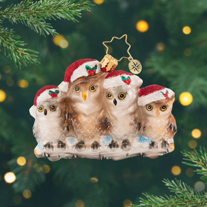 Its Owl In The Family Gem. Ornament of a four-member owl family, all wearing a sparkly Santa hat. View of front