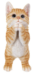 Kitten Praying - Orange Tabby Statue HI-LINE GIFT LTD.