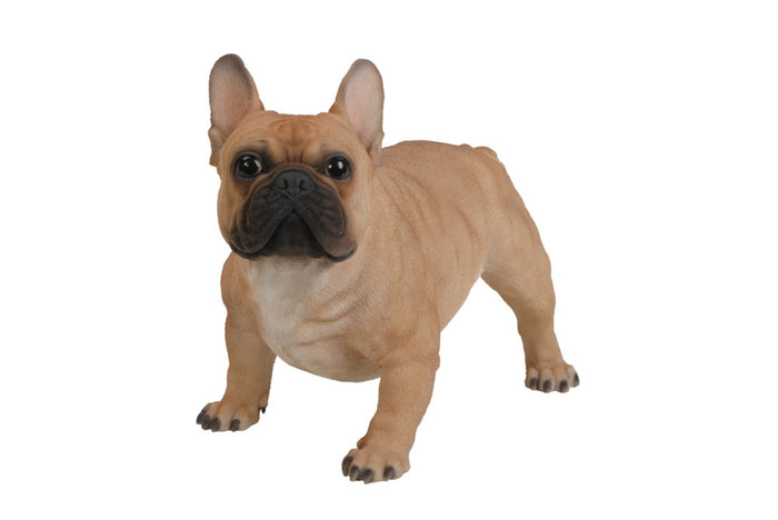 Large French Bull Hi-Line Gift Ltd.