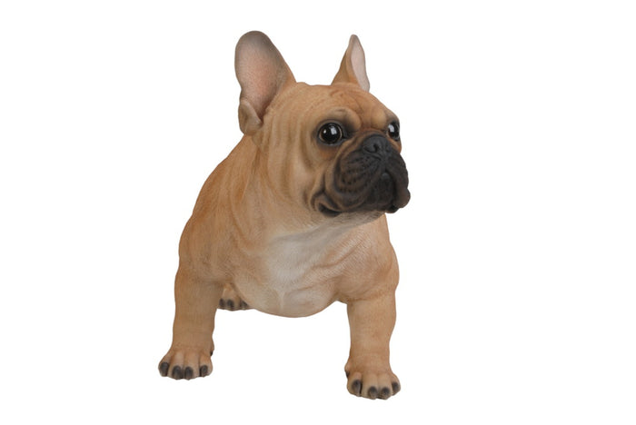 Large French Bull Hi-Line Gift Ltd.