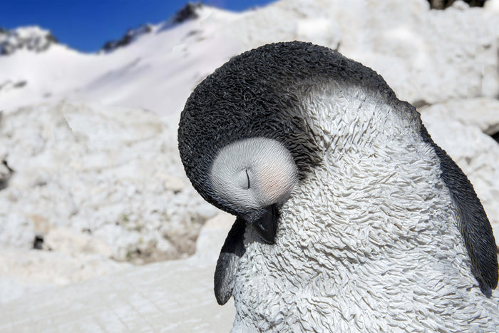Large Sleeping Penguin HI-LINE GIFT LTD.