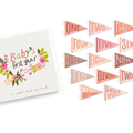 Little Artist Memory Baby Book and Blushing Meadow Petit Milestone Pennant Set
