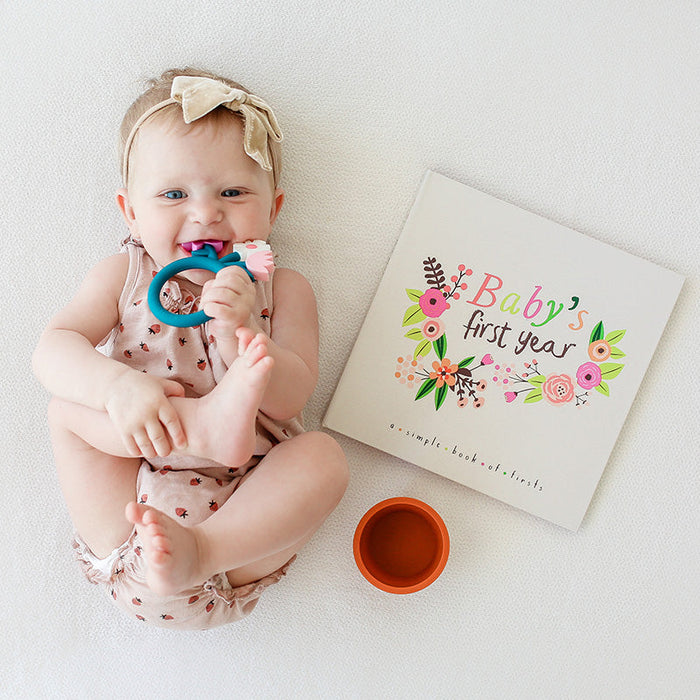 Little Artist Memory Baby Book and Blushing Meadow Petit Milestone Pennant Set
