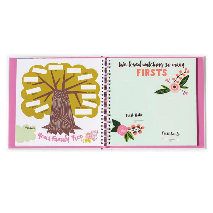 Little Artist Memory Baby Book and Blushing Meadow Petit Milestone Pennant Set