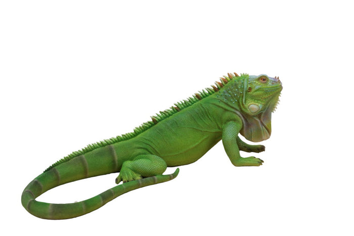Lizard Iguana Statue HI-LINE GIFT LTD.