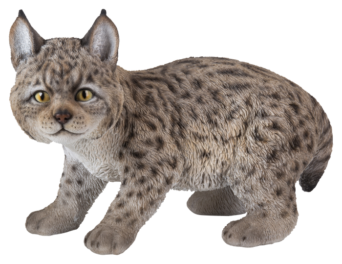 Lynx Kitten Hi-Line Gift Ltd.