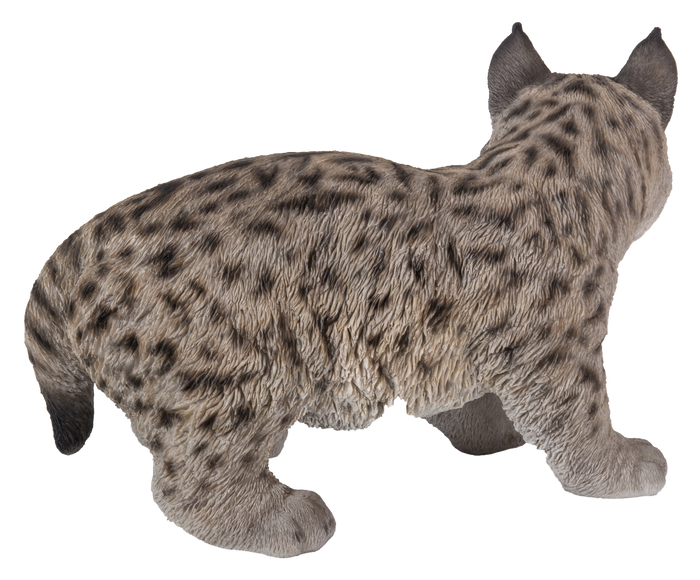 Lynx Kitten Hi-Line Gift Ltd.