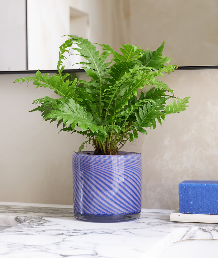 Medium Spiral Glass Planter Blue