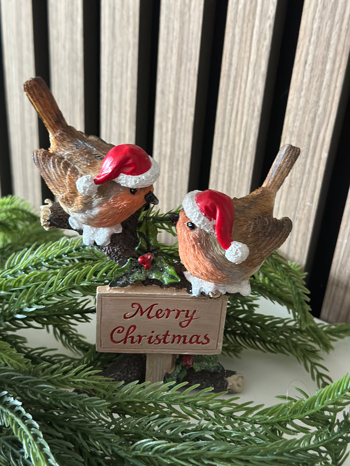 Merry Christmas Robin