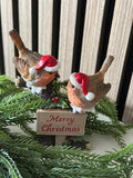 Merry Christmas Robin