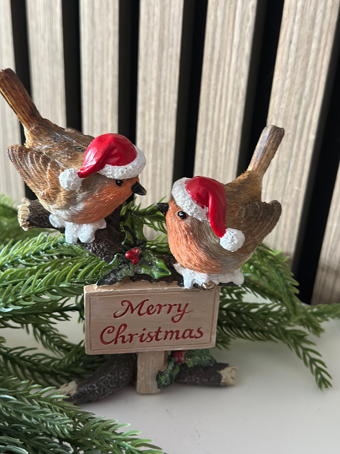 Merry Christmas Robin